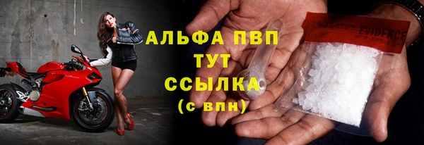 дмт Новодвинск