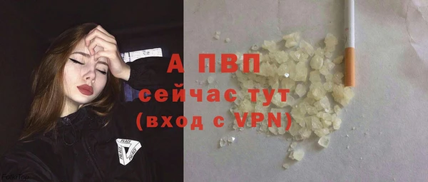дмт Новодвинск