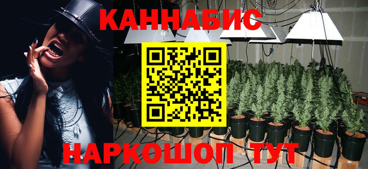 Каннабис White Widow  Бошки марихуана THC 21%  Кимовск  Вход с VPN  МАРИХУАНА MAZAR  Бошки Шишки VHQ 